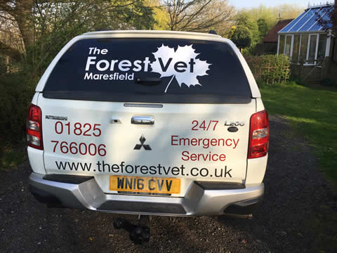 The Forest Vet Goes Mobile